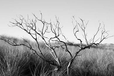 HD Nature Wallpapers Collection 3   Jhang Tv