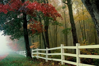 Autumn nature wallpapers