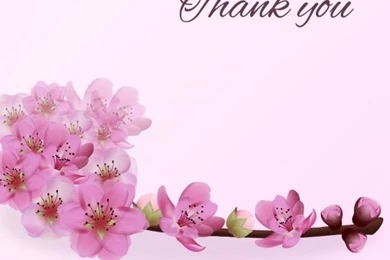 Thank You Vectors, Photos And PSD Files