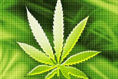 Free HD Weed Wallpapers