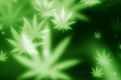 Bokeh Marijuana Mobile Wallpapers   Mobiles Wall