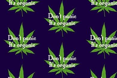 Dont Panic Tis Organic Weed iPhone Wallpapers   Quote Wallpapers
