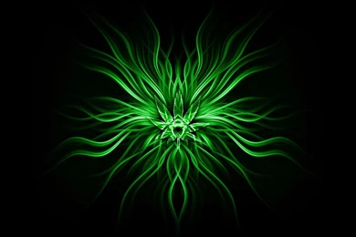 ABSTRACT WEED Wallpapers