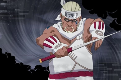 HD Wallpaper: Killer Bee And Hachibi HD Wallpapers