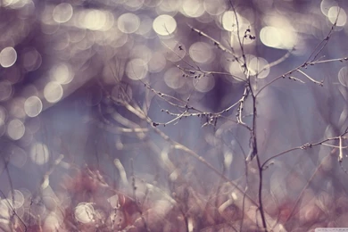 Waking Dreams HD Desktop Wallpapers : Widescreen : High Definition ...