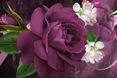 2560x2048 Wallpapers: Beautiful Lagoon Marakei Islands Paradise ...