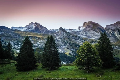 Page 3 Of Best This 4K Or HD Wallpapers