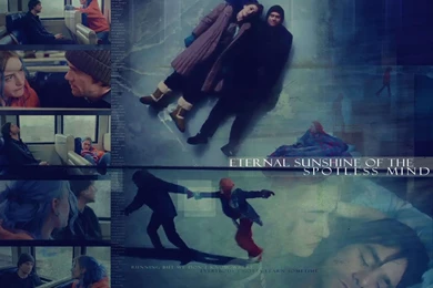Eternal Sunshine Eternal Sunshine Wallpapers (15154927) Fanpop