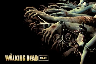 Attractive Walking Dead Wallpapers By Darklanser Dpnb ...