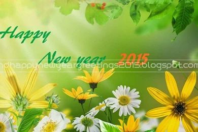 Beautiful Of Happy New Year 2015 Wallpapers Hig
