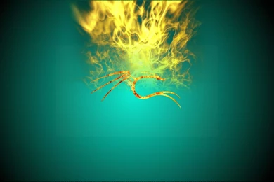 Top Computer Wallpapers   3 Items