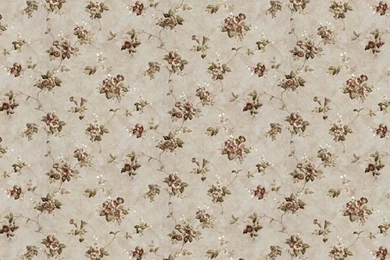 Download Dollhouse Wallpapers Brown 2