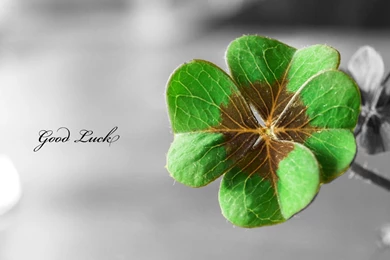 Good Luck Wallpapers   Wallpapers Cave