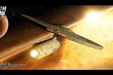 Star Trek Star Ship USS Saladin NCC 0500, Free Star Trek Computer ...