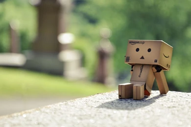 Danbo Is Sitting On A Ukulele HD Wallpapers