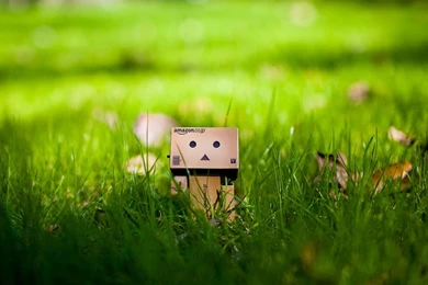 Danbo Wallpapers