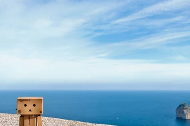 Danbo Beach HD Wallpapers