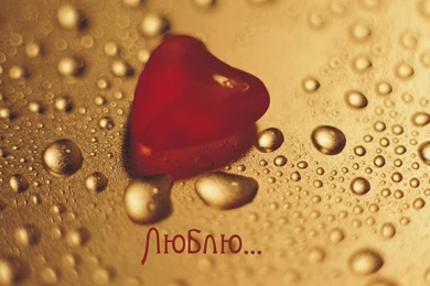 Loving Heart HD Love Wallpapers