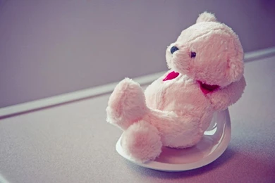 Download Teddy Bear Cute User Wallpapers 1024x640