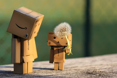 Download Wallpapers 2560x1440 Danbo, Cardboard Robot, Dandelion Mac ...