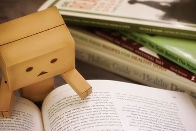 Laptop 1366x768 Danbo Wallpapers HD, Desktop Backgrounds 1366x768