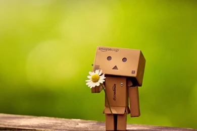 Cute Danbo – The Japanese Robot Pictures