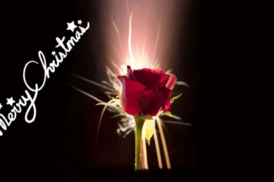 Wallpapers santa banta – Sky HD Wallpapers