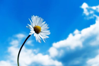 Nature Wallpapers   Sky, Black, Steelblue, Darkolivegreen ...