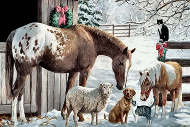 Pony And Friends Horse Animals Horses Hd Desktop Wallpaper. Dog ...