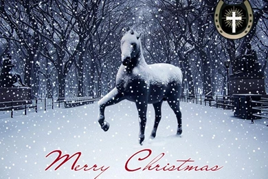Download Wallpapers Horse In Snow (1024 X 768). Desktop Wallpapers ...