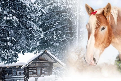 Christmas Horse And Cabin Wallpapers   (
