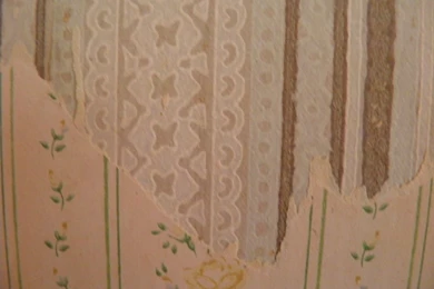 The Vermont Gardener: Inside The House