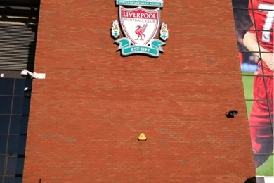 Let's Get Weird iPhone Wallpapers : Workaholics