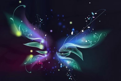 Awesome HD Free Wallpapers Of Butterfly