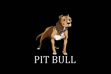 Painted Pit Bull Terrier Wallpapers