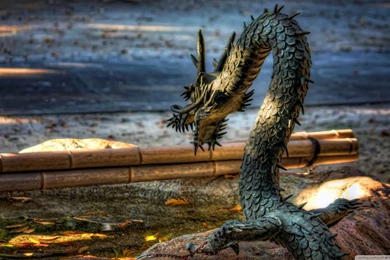 Free Hd Wallpapers   1053417