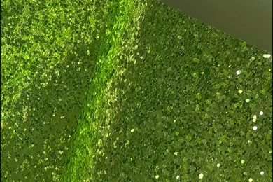 Aliexpress.com : Buy 50 Meters/lot Pu Glitter Wallpapers Lime Green ...
