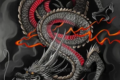 Day 9   Parrot Dragon By Silverbloodwolf98 On DeviantArt