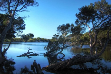 Desktop Wallpapers HD Widescreen   Newwallpapershits.com