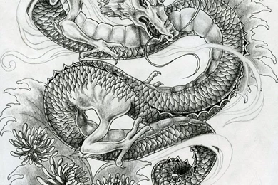 Japanese Dragon Tattoo Design By ZakariasEatWorld On DeviantArt