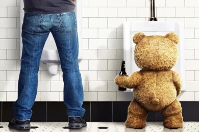 Comedy Teddy Bear Hd Wallpapers Download