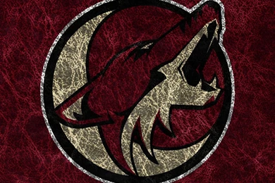 1000x1000px Phoenix Coyotes Phoenix Arizone