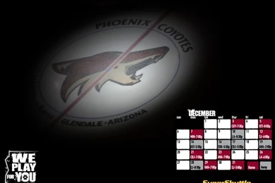 PHOENIX COYOTES WALLPAPERS   Arizona Coyotes   Multimedia