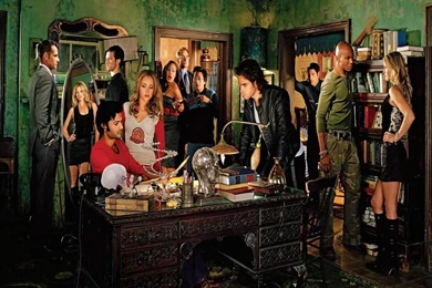 Bright Side Of Her Os1 Wallpapers