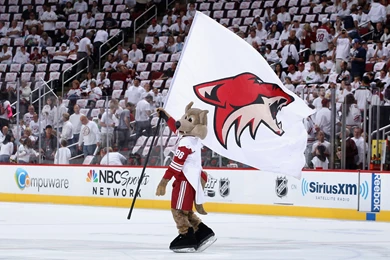 PHOENIX COYOTES Hockey Nhl (68) Wallpapers