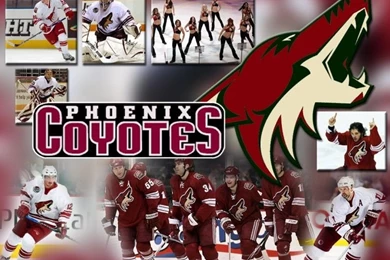 Wallpapers Sports   Leisures > Wallpapers Hockey Phoenix Coyotes ...