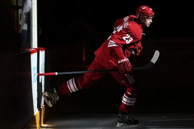 Coyotes Vs. Islanders   12/12/2013   Arizona Coyotes   Photos