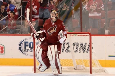 Coyotes Vs. Stars   02/02/2013   Dallas Stars   Photos