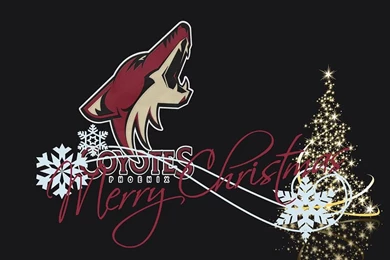 For Phoenix Coyotes   More Information