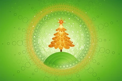 960×800 Popular Mobile Wallpapers Free Download